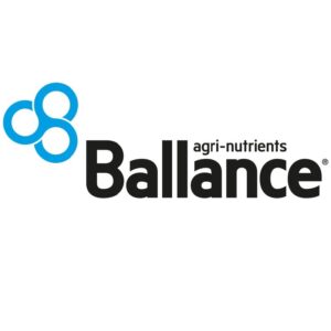Ballance_Primary Black and Blue